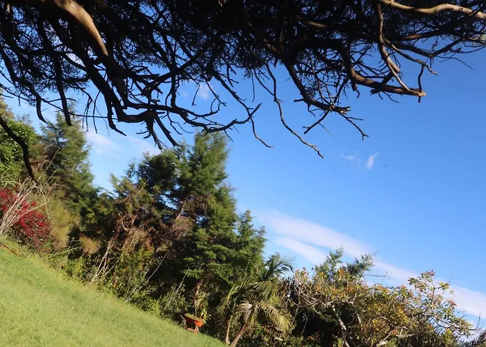 Finca La Mariposa, Santa Elena